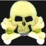 SKULL AND CROSSBONES ENAMEL PIN